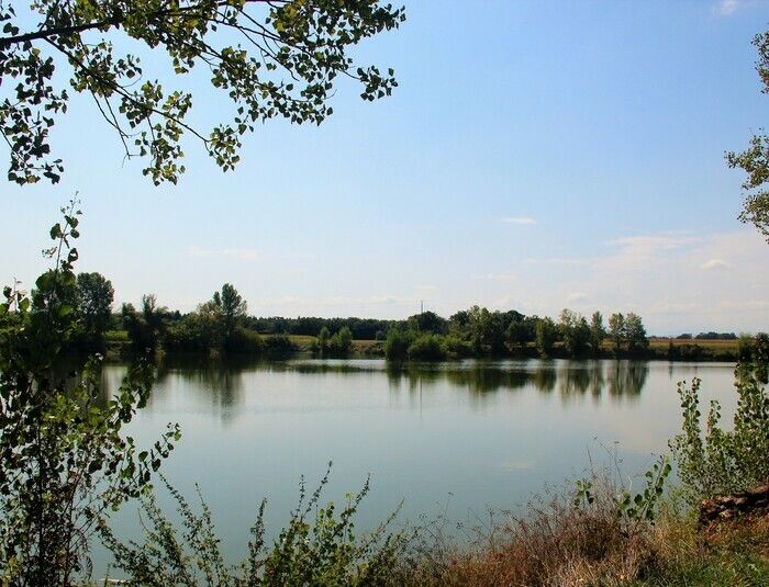 Entdecken Sie den See von Sabatouse, seine Spaziergänge, Schwäne und Wassersportaktivitäten (Eintritt gegen Gebühr).