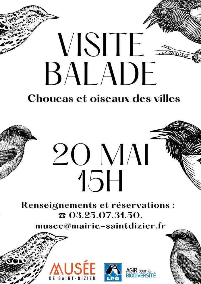 Venez découvrir la collection naturalisée du Musée, suivie d’une sortie urbaine à la découverte des hirondelles, martinets, tourterelles, choucas et autres oiseaux qui fréquentent notre ville