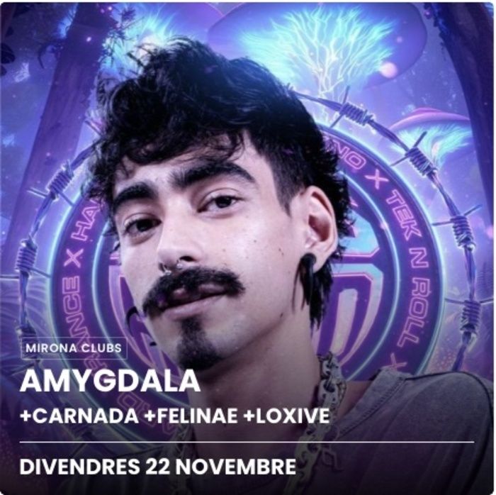 Concert Amygdala + Carnada + Felinae + Loxive