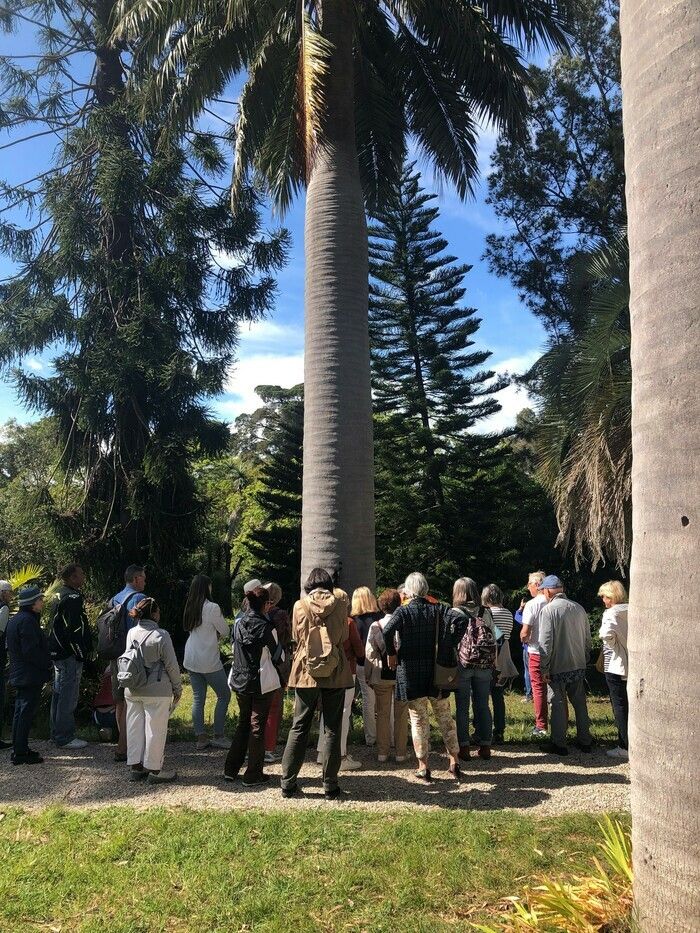 Spezialisierte Pflanzenführer kommentieren Ihren Besuch bei der Entdeckung der wunderschönen Originalsammlungen des Gartens und ihrer Geheimnisse. 2 Führungen am Morgen, 2 v...