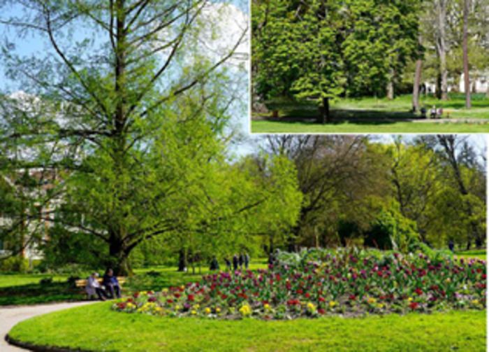 Führungen durch die Grünflächen der Stadt Vichy, Spaziergänge durch die Allier-Parks, Entdeckung ihrer Geschichte und der vorhandenen Baumarten. Beobachtung der Auswirkungen von K...