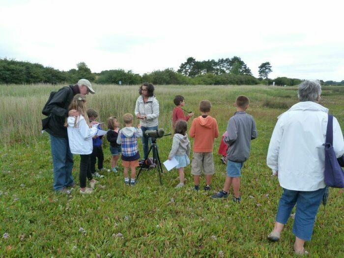 Des jumelles à la main et des plumes plein les yeux, découvrez les oiseaux de l'estuaire en vous amusant !
(Dès 6 ans)
(2-3km/2h) - Niveau 1