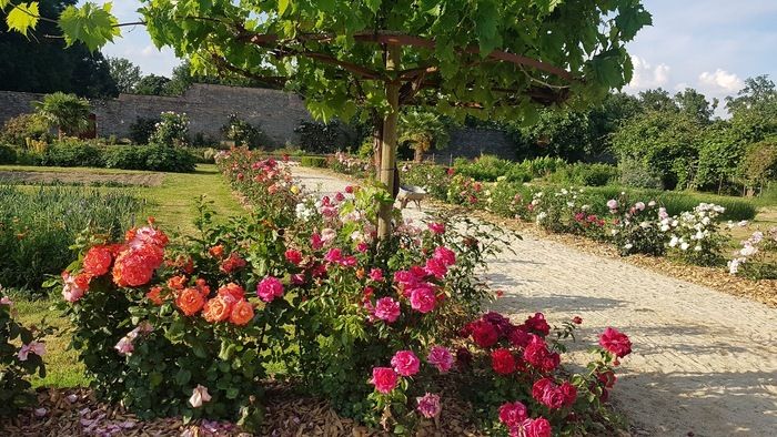 In einem von André Leroy angelegten Park in der Mitte des 19\. Jahrhunderts entdeckt man einen ummauerten Gemüsegarten, der seit seiner Gründung nie aufgehört hat, Obst, Gemüse und Blumen für die...