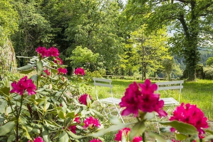 Freie Besichtigung des Parks...