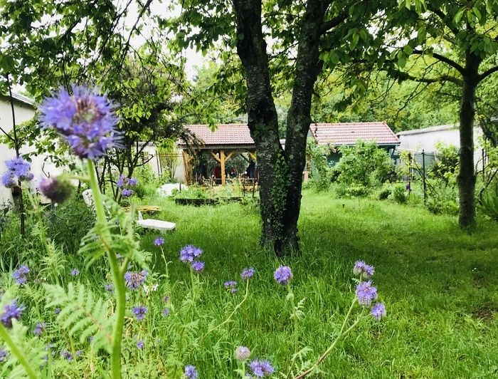 Culture(s) en Herbe(s) öffnet am Sonntag, den 2\. Juni, die Türen seines Gartens an den Pfirsichwänden für eine lebhafte Tour durch eine botanische und sensorische Schnitzeljagd.