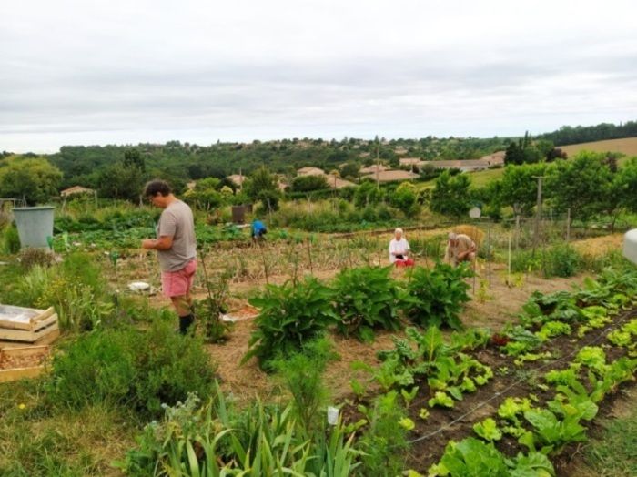 Entdecken Sie unseren Garten, seinen Gemüsegarten, seine Blumen und seinen Obstgarten, dank einer freundlichen Schnitzeljagd, die speziell für Sie vorbereitet wurde: Identifizierung und Markierung von