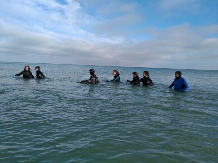 Découvrez le site exceptionnel d'Omaha Beach autrement... Au cours d'une randonnée de marche en mer (équipement spécifique fourni) d'une 1h15  vous ferez connaissance avec la faune et la flore de ...