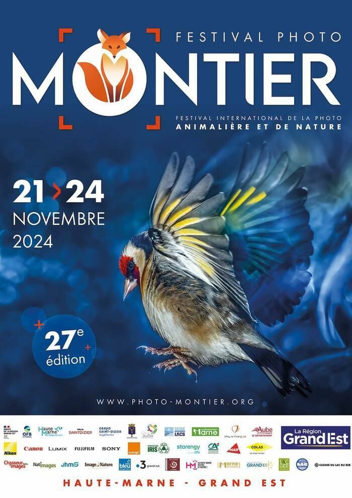 Le Festival international de la photo animalière et de nature de Montier-en-Der vous invite du 21 au 24 novembre 2024 pour sa 27e édition.