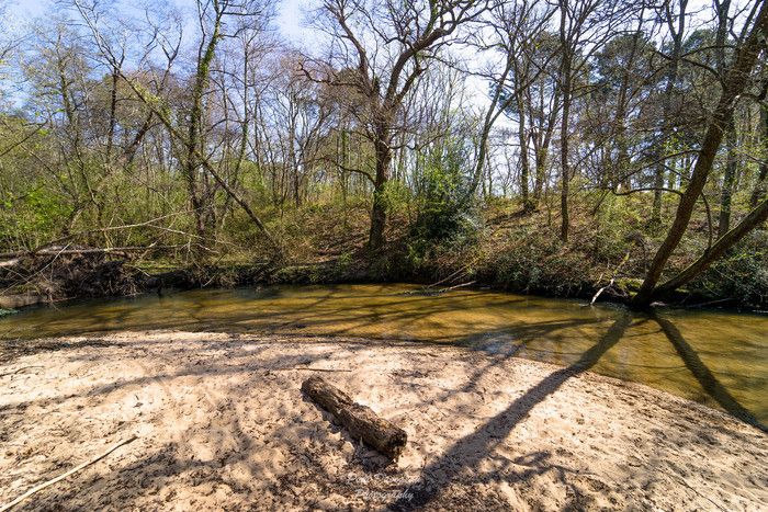 Parc des Jalles - Balade-découverte « au fil de l’eau »  animée par l'Ecosite du Bourgailh