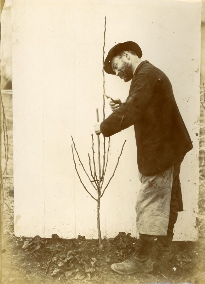 L’exposition présentera ce personnage aux multiples talents, ses travaux, son implication auprès des Sociétés d’Horticulture, son amour des arbres.