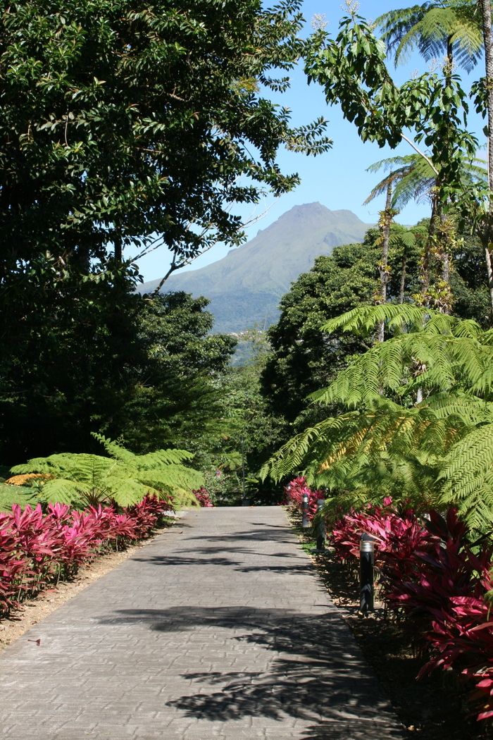 3 Führungen durch den ethnobotanischen Garten: Sinnesreise um 9.30 Uhr, 11.00 Uhr und 14.30 Uhr.