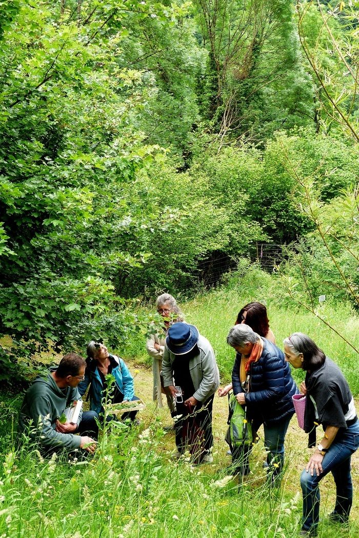 Treffen Sie sich um 11 Uhr, um den Garten mit essbaren Pflanzen zu entdecken. Mit einem Begleiter entdecken Sie die Pflanzen im Garten, die zu welcher Jahreszeit gegessen werden und wie...