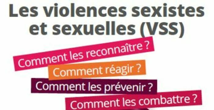 Les référentes égalité F/H et la Direction des Ressources Humaines initient une démarche de sensibilisation sur le thème des violences sexistes et sexuelles (VSS) dans les relations professionnelles