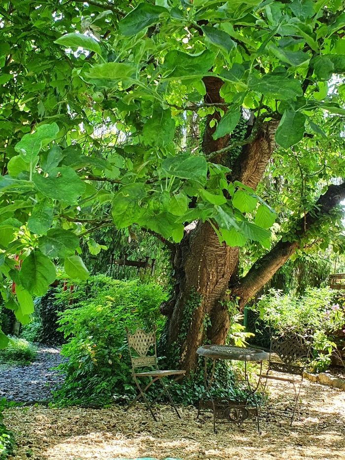 Ein klassischer Garten, der sich im Laufe der Jahreszeiten in ein lebendiges Bild verwandelt. Er hat kleine Schätze, wie ein vegetatives Bett, Masken mit Baumstämmen, Staudenbeete...