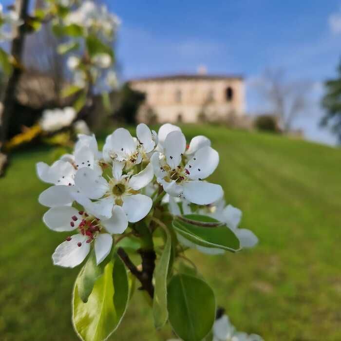 "Appuntamento in Giardino" is an initiative proposed by APGI - Associazione Parchi e Giardini d'Italia. The event, designed as an authentic garden festival, was born in accordance with the beginning o