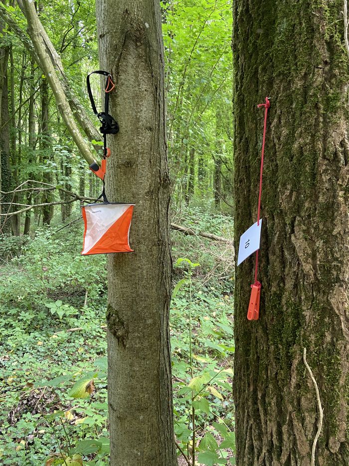 Wecken Sie Ihre fünf Sinne mit einer Schnitzeljagd. Eine spielerische Art, den 33 Hektar großen Park des Schlosses Cercamp in Frévent zu entdecken.