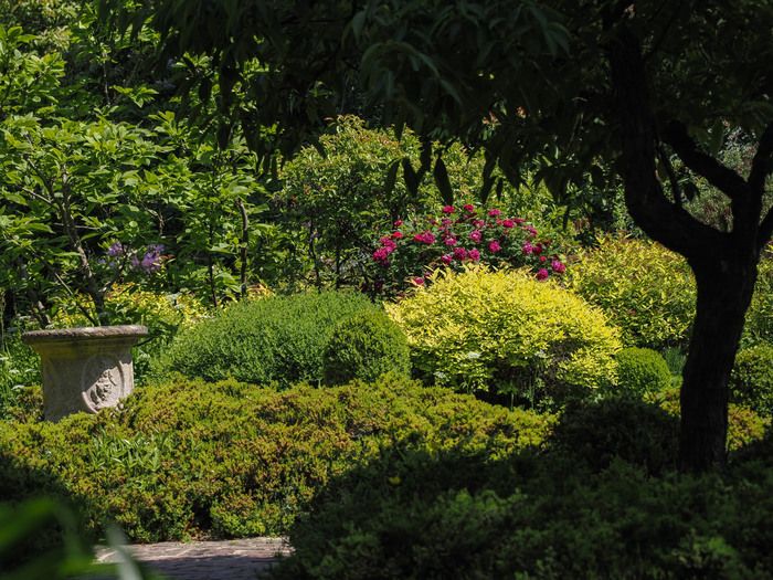 Der Besuch des Arboretums Anfang Juni bedeutet, seine 5 Sinne der Überraschung auszusetzen! Die Schönheit der Landschaft und die Details der Blumen natürlich, der süße Duft der Rosen offensichtlich, d