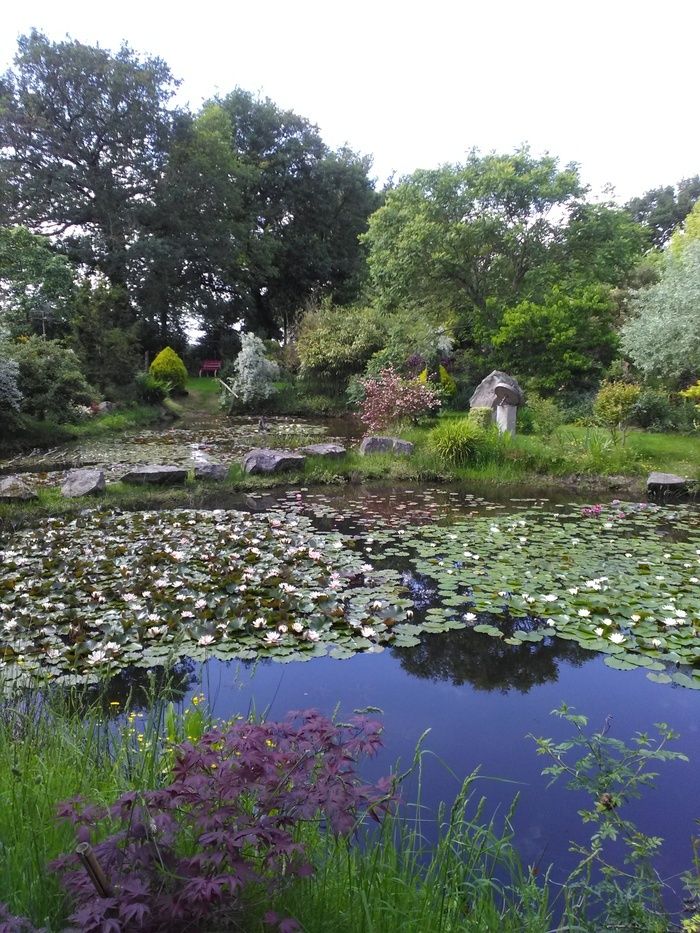 Garten von ca. 6500m2 mit abwechslungsreichen Atmosphären: üppige und frische Orte, andere kahl und hell, intime Ecken oder Pausen, pflanzliche Szenen, begleitet von Steinen, Holz und...