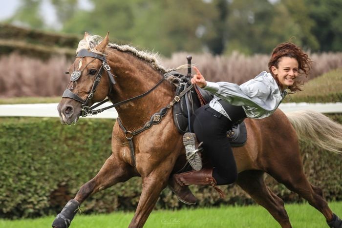 Depuis toujours, l’homme et le cheval sont liés par une longue histoire de complicité et de confiance. La célèbre troupe du Ménil Saint-Michel convie petits et grands pour montrer le talent de ses ca…