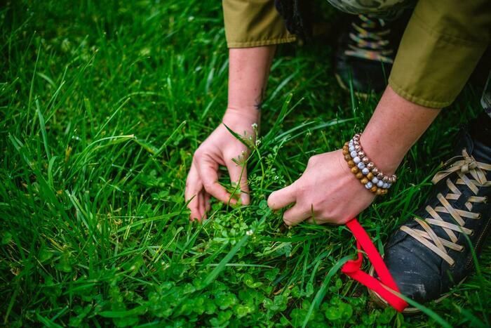 Was gibt es Schöneres, als mitten in der Natur einzukaufen und auf dem Heimweg frisch geerntet zu werden?