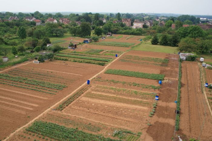 Besuche der Arbeitergärten, Route de Bray mit der Association Horticole et Maraîchère du Nogentais.