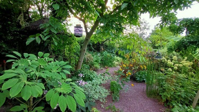 Freie Besichtigung des Gartens und Entdeckung der stabilisierten Pflanze in der Gartenwerkstatt. Samstag, 1\. und Sonntag, 2\. Juni von 10 bis 19 Uhr.