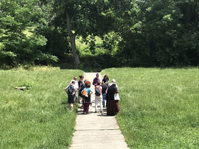 BALADE / Le Parc des Beaumonts : des plantes sauvages qui soignent et qui se mangent - balade botanique