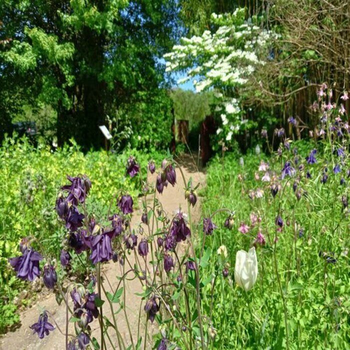 ALAIJE feiert den Frühling