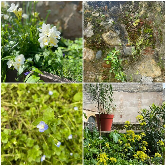 Entdecken Sie den Garten Georges Dorignac, einen gemeinsamen Garten im Herzen des Viertels Saint Michel.