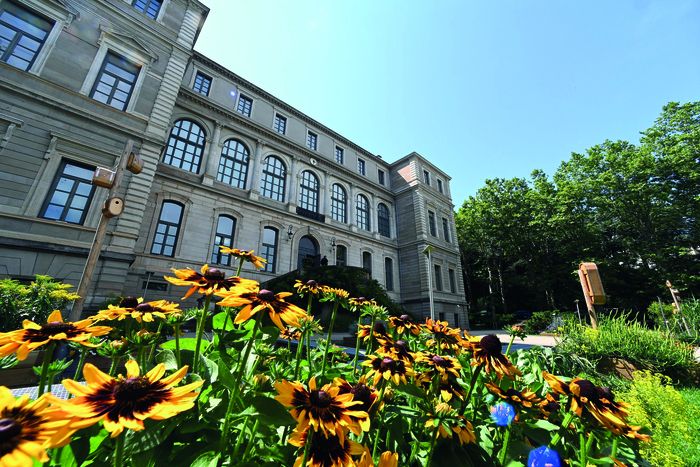 Das Museum bietet Ihnen die Möglichkeit, seinen farbenfrohen Garten und seine Artenvielfalt in Begleitung eines Mediums zu entdecken, dem Sie barfuß folgen. Lassen Sie sich von der Kraft der Pflanzen