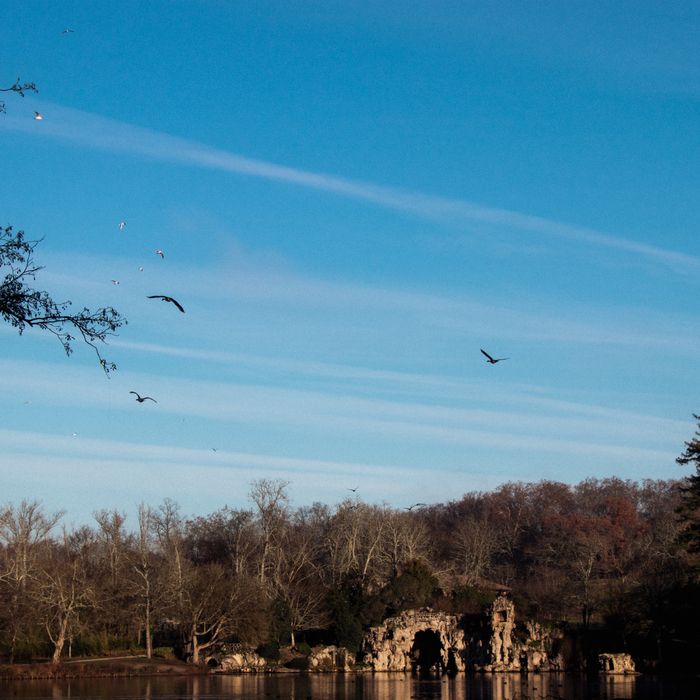 Histoire, gestion écologique, essence des arbres… le parc Majolan n'aura plus de secrets pour vous grâce aux jardiniers !