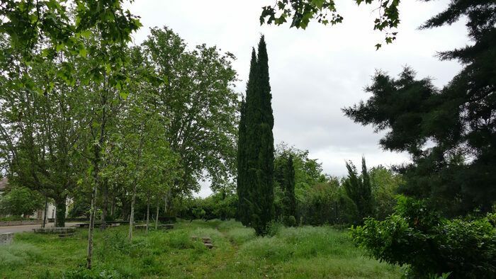 Zum Thema «Sinn und Wesen: die bemerkenswerten Bäume des Parks Blandan», eine geführte Wanderung, die eine sensitive Entdeckung der bewaldeten Vegetation des Parks ermöglicht. Eine einzigartige Erfahr