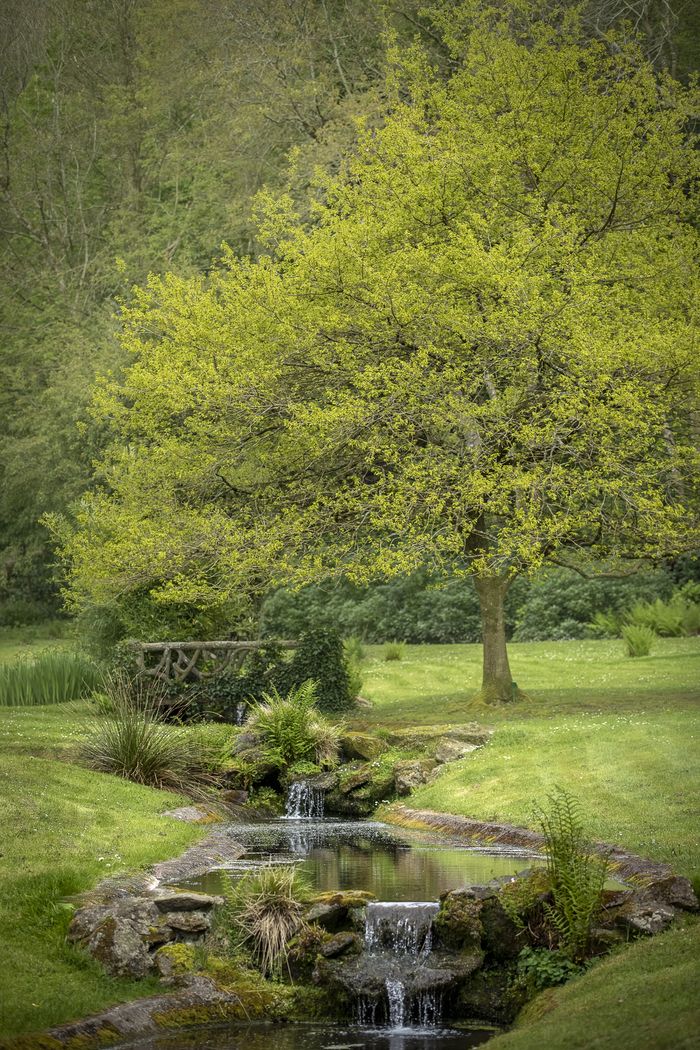 Kommentierte Besichtigungen dieses romantischen Parks von 19ha, englischer Wassergarten mit vielen Fabriken (Satz von 14 Wasserfällen, Brücke zum Kaiserlichen, Brücke "Rusticage" aus Zement, Höhle, Tu