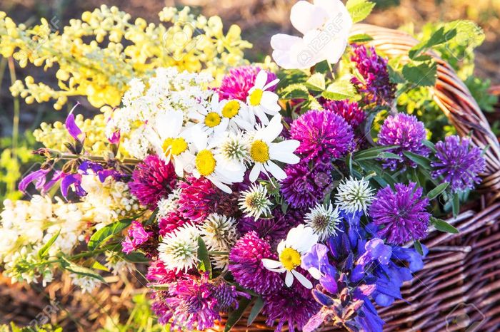 Entdecken Sie neue Düfte, während Sie essbare Blumen genießen! Marie-Laure wird Sie bei dieser Verkostung begleiten, wo Sie (e.s.) von ihrem Anblick überrascht werden!