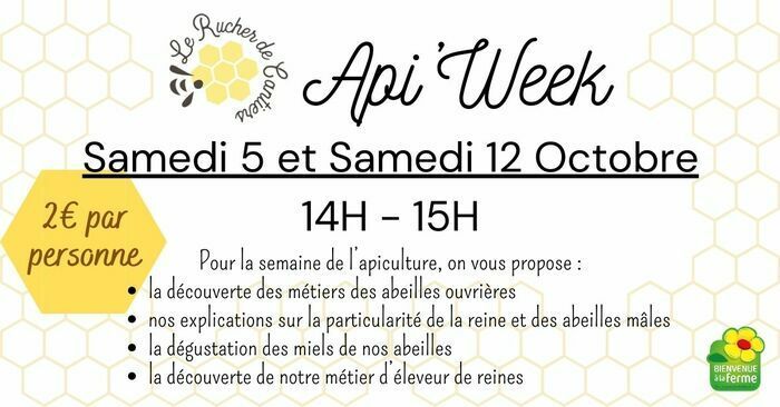 Nous vous présenterons la vie des abeilles ouvrières, la spécificité des mâles et la singularité de la reine, ainsi que notre élevage de reine. Vous pourrez également déguster nos miels !