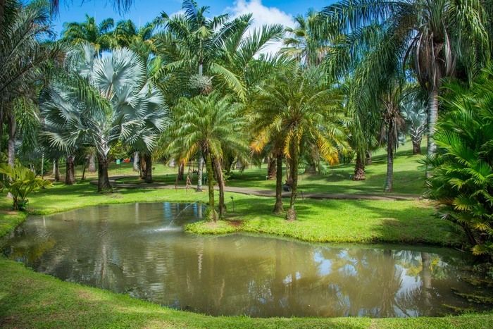 Ein wahres Bad im Grünen, der Besuch der Habitation Clément beinhaltet einen herrlichen botanischen Entdeckungsweg durch die 16 Hektar seines Gartens.