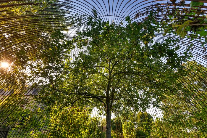 An diesem Wochenende Anfang Juni können Sie in diesem ruhigen Garten, der von der Bièvre am Fuße des Schals umgeben ist, mit Familie oder Freunden im Schatten des Laubes entspannen...