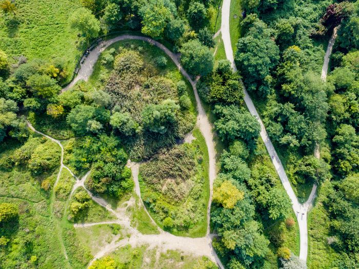 Plongez dans une ballade immersive et découvrez les incroyables moyens de communication de la nature.