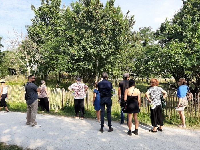 BALADE / Le Parc des Beaumonts : des plantes sauvages qui soignent et qui se mangent - balade botanique