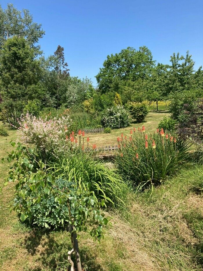 Nehmen Sie ein freundliches Paar, viel Mut, gute Laune und eine Liebe für Menschen, Hunde, Pferde, Gartenprodukte... Ein paar Minuten mixen, ruhen lassen, fügen Sie ein...