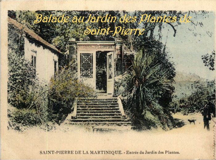 "Üppige Vegetation, außergewöhnliche Anzahl und Vielfalt von Bäumen, Pflanzen, Obst und Gemüse, starke Präsenz von Wasser... Neben der Bewunderung, die der botanische Garten von St. Peter...