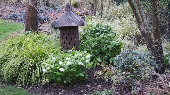 Garten von ca. 500 m2, ständig für eine perfekte Ästhetik eingerichtet.