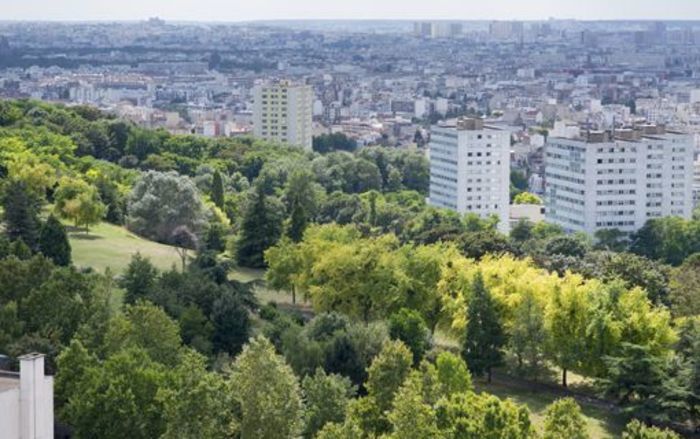 Venez découvrir le monde des arbres et apprendre à identifier les principales espèces présentes en climat tempéré. L’atelier mettra en lumière les multiples services rendus par les arbres.