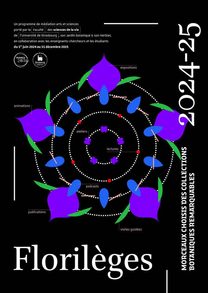 "Florilèges" ist ein Projekt der Mediation von Gesellschaftswissenschaften, das darauf abzielt, die «trägen» Sammlungen der Pflanzenbiologie der Fakultät für Biowissenschaften, ihres Gartens, ihrer...