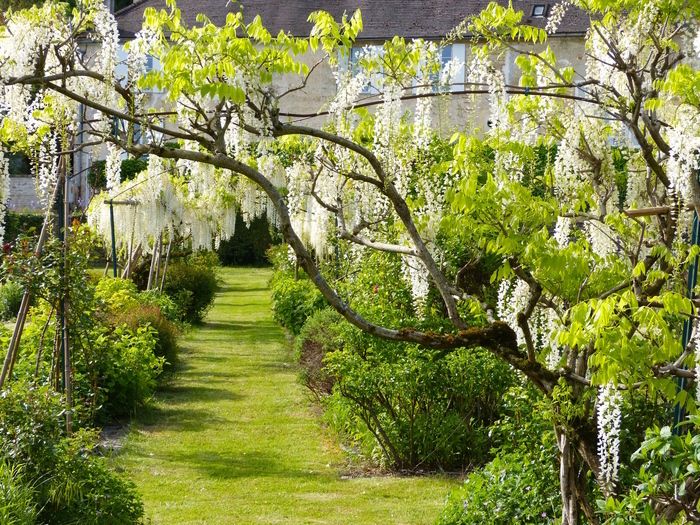 Entdecken Sie anlässlich der «Rendez-vous aux jardins» 2024 das Schloss Val en Sel und seine Vergnügungsgärten.