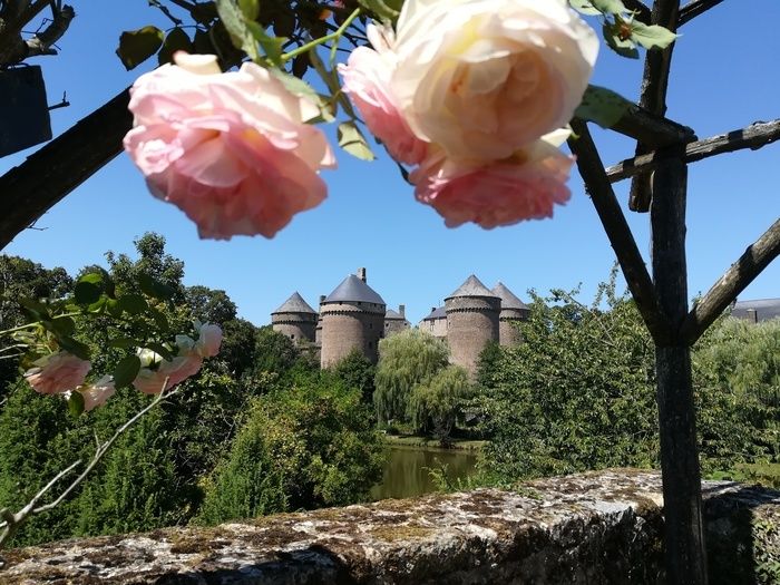 Die Mitarbeiter der Grünflächen der Gemeinde werden Ihnen den Rosengarten und den mittelalterlichen Garten von Lassay-les-Châteaux mit einer Führung und einem Rundgang vorstellen, auf dem Sie sich mit