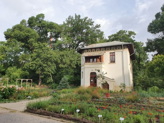 Führung im Garten der Großmutter's Der Garten der Großmutter ist das Symbol des traditionellen rumänischen Gartens. Es zeigt die große Vielfalt der Pflanzen, die häufig in ländlichen Gärten angebaut …