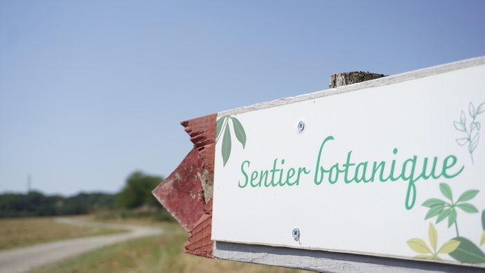 Entdecken Sie die lokale Flora von Mauressac entlang eines botanischen Weges.