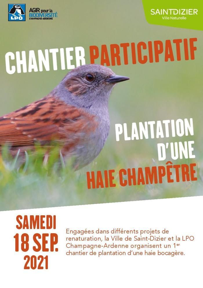 Participer à la plantation sur une centaine de mètres d’une haie composée d’essences bocagères (aubépine, sureau, viorne…) · Participer au nettoyage du site