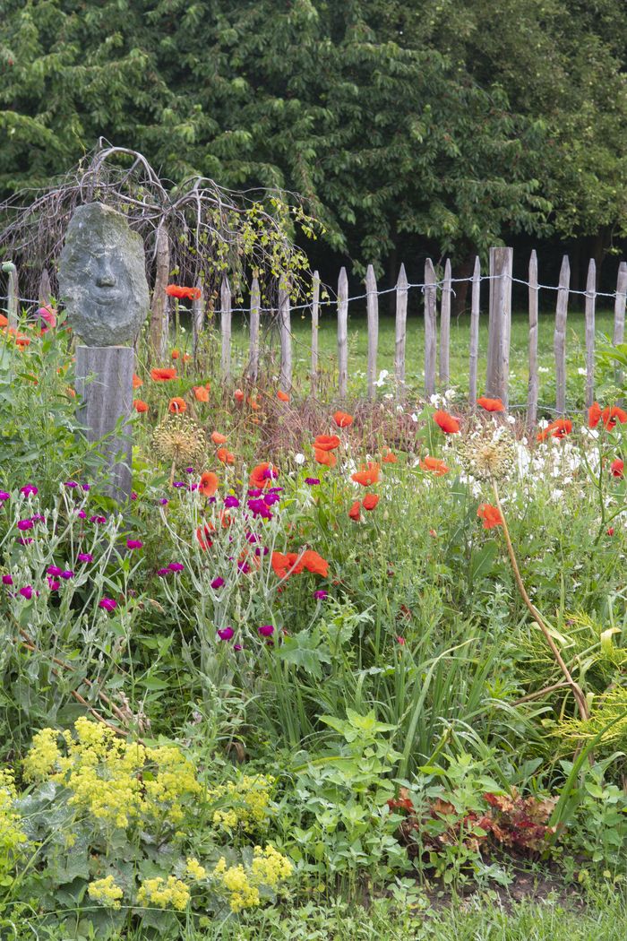 Workshop für Anfänger: Köstliches aus Wiese und Garten – “Afternoon Tea” oder mit allen 5 Sinnen in unserem Schaugarten, ein Garten für Alle, auf Entdeckungstour gehen! Lassen Sie sich überraschen!